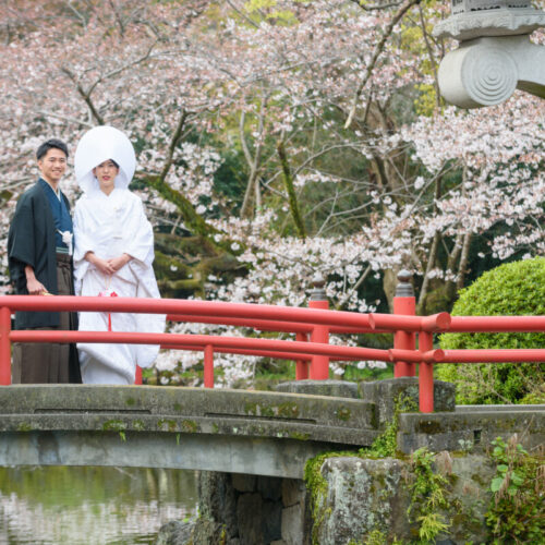 【残り僅か】25年4月迄cerisier（桜）を感じる三嶋大社挙式Plan【最大100万ご優待】