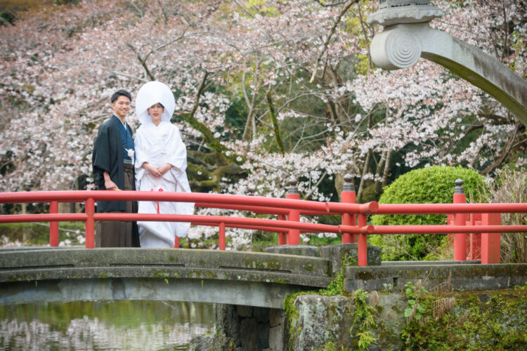 【残り僅か】25年4月迄cerisier（桜）を感じる三嶋大社挙式Plan【最大93万ご優待】